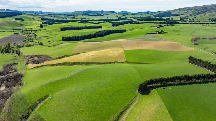 1443 Omihi Road Omihi_22