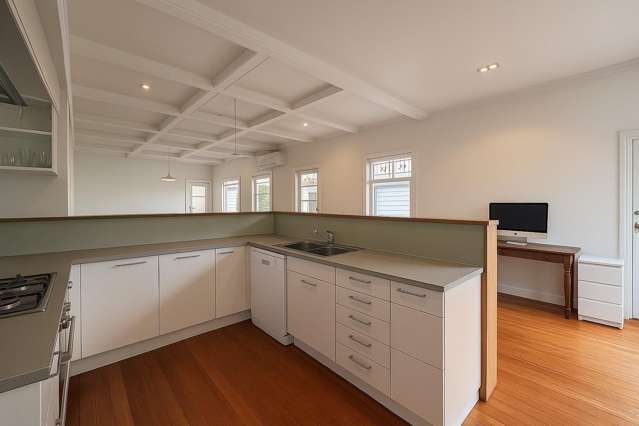 22 Castle St Grey Lynn_2