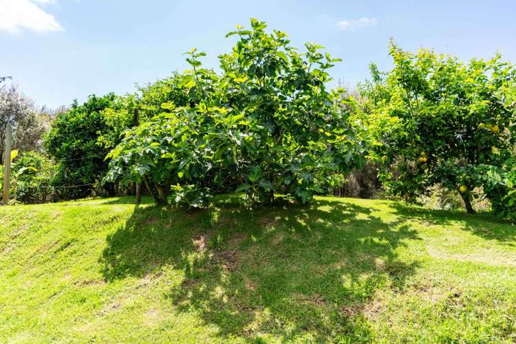 116 Atkin Road Mangawhai_37