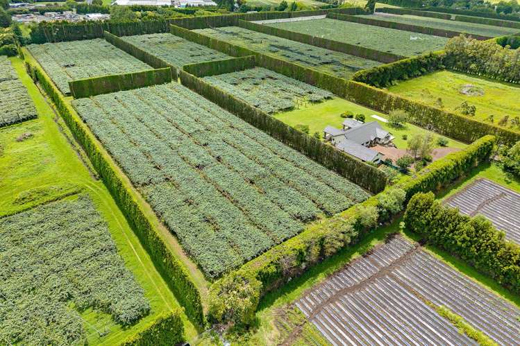 109 Old Railway Road Riverhead_30