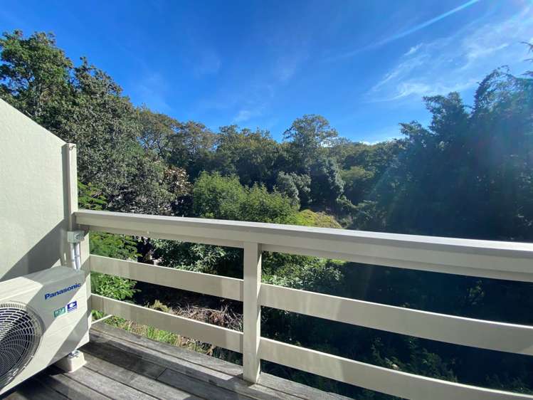 13/7 Claybrook Road Parnell_3