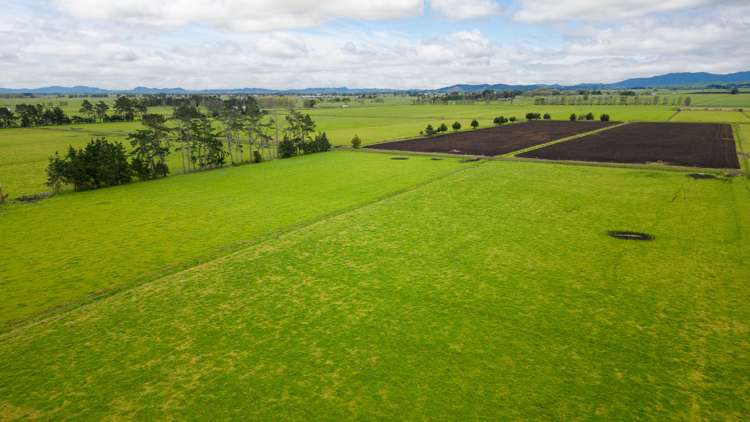 220 Valintine Road Gordonton_15