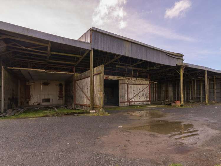 50 Mamaku Street Mamaku_19