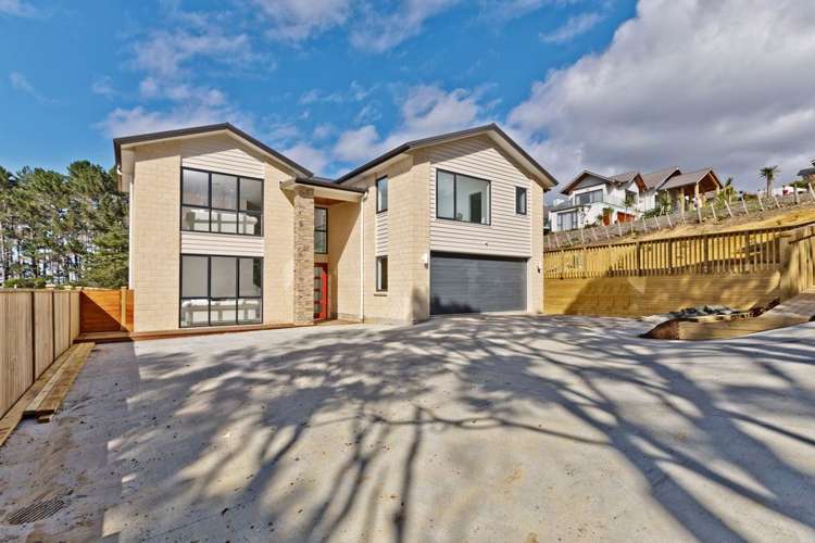 249a Lonely Track Road Albany Heights_37