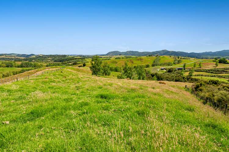 145 Ranganui Road Kaiwaka_17