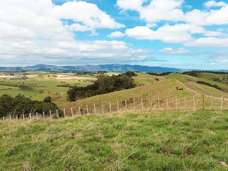 149 Waller Road Puni_11