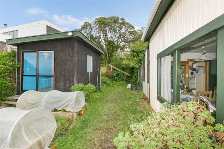 4 Hoggard Street Vogeltown_6