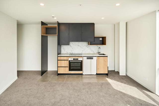 509/212 Willis Street Te Aro_1