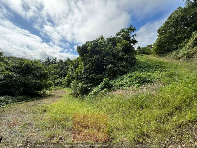 Address withheld Savusavu_19