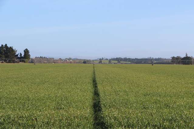 Premier Levels Plain Irrigated Bare Land - 108ha