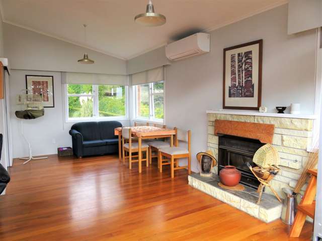 100 Herewaka Street Thames_1