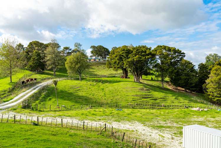 251 Griffin Road Maungaturoto_5