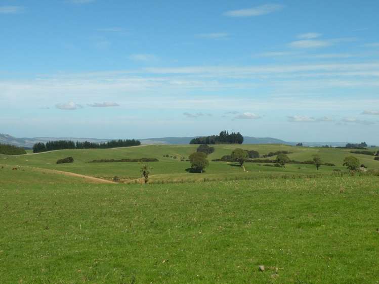 44 Fletts Road Milton_12