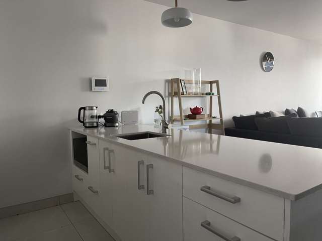 BL2FA-1/127 Newton Road Eden Terrace_4