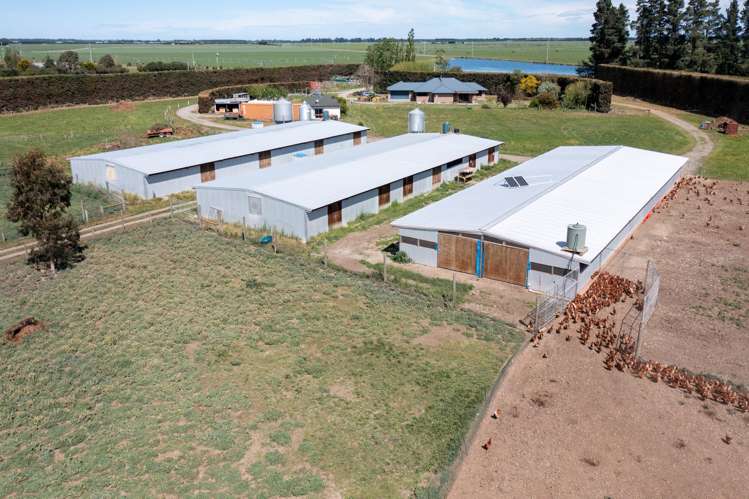 596 Frasers Road Ashburton Surrounds_19