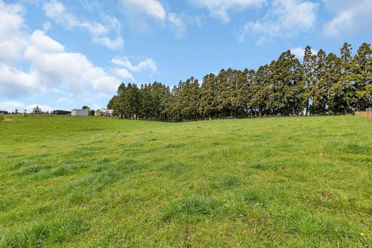 135 Apotu Road Kauri_6