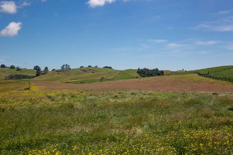 320 Waiti Road Tahuna_15