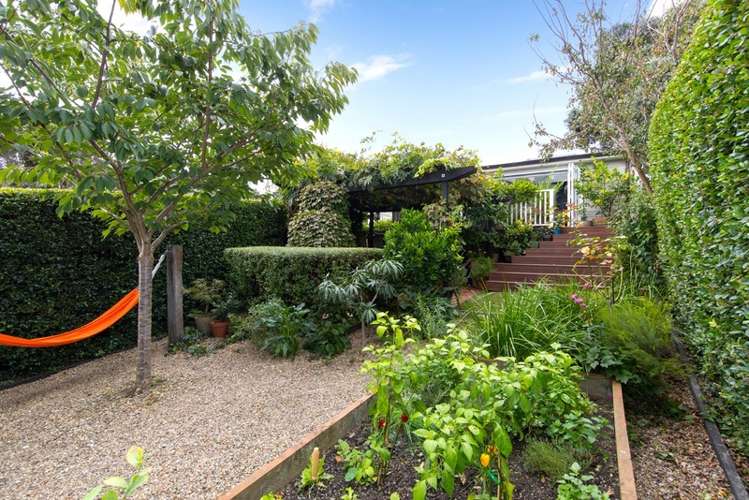 41 Second Avenue Kingsland_10