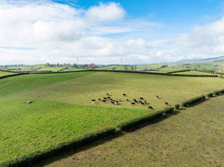 376 Starkey Road Morrinsville_22