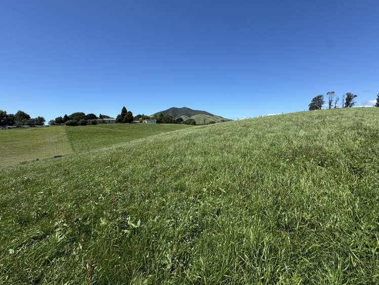 Lot 4 Pokuru Road Rd 3 Te Awamutu_6
