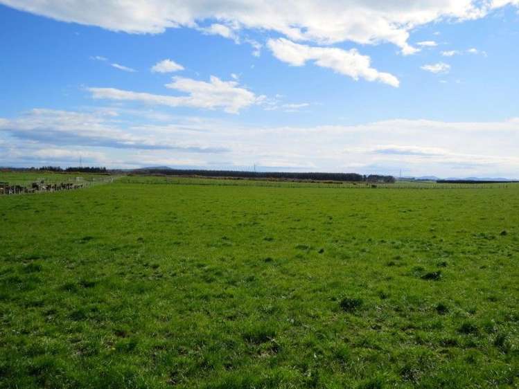 150 Clark Road Winton Surrounds_25