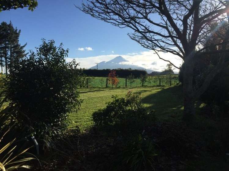 311 Opunake Road Cardiff_31