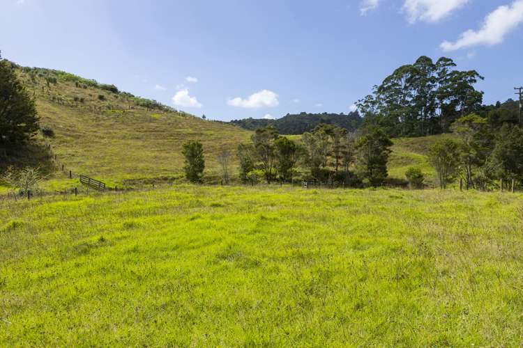 558A Backriver Road Mangonui_7