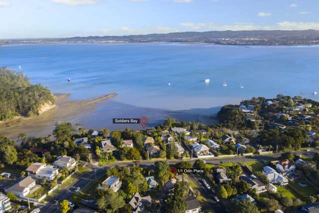 1/1 Odin Place Beach Haven_1