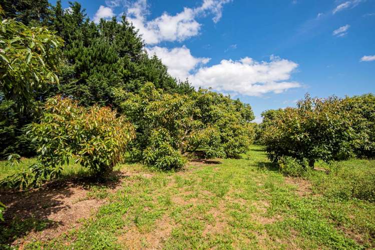 1700 State Highway 14 Maungatapere_8