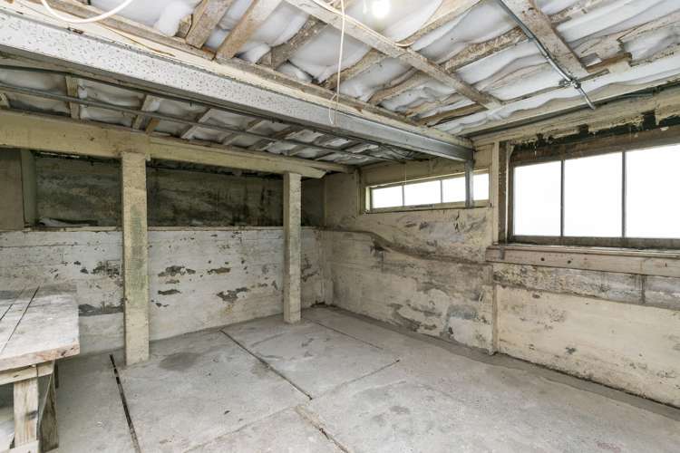 58 Kenya Street Ngaio_17