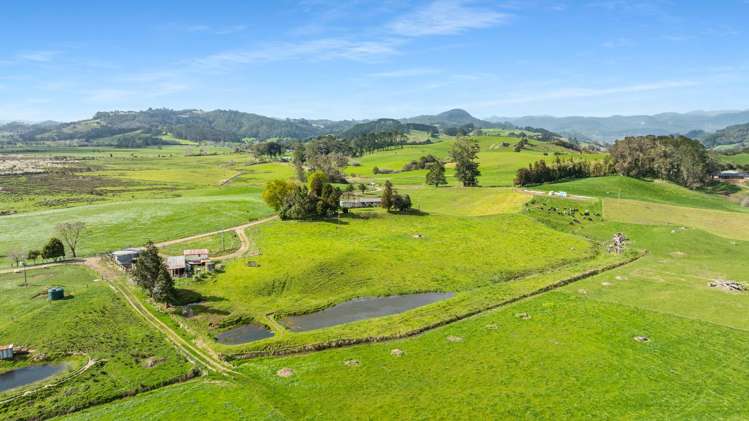 90 Camp Road, Coroglen Tairua_31