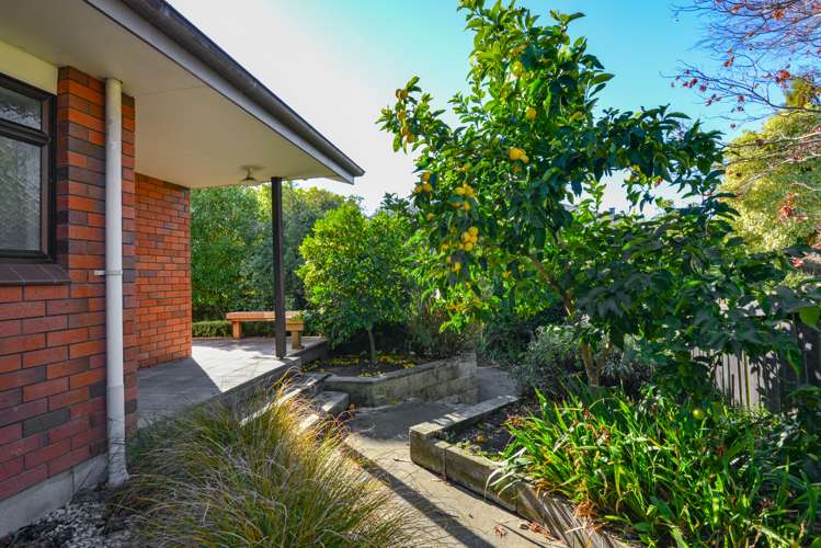 13b Simla Avenue Havelock North_21