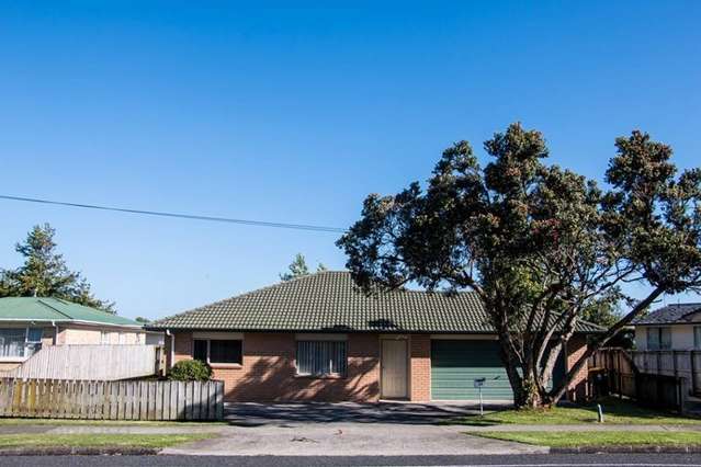 29 Wakefield Road Favona_1