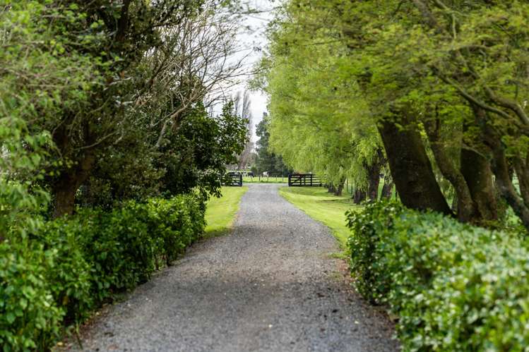 399 Dalefield Road Carterton_41