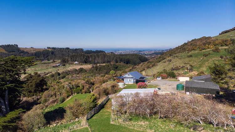 233 Leith Valley Road Leith Valley_7