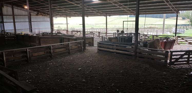 182 Beacon Hill Road Wairuna_6