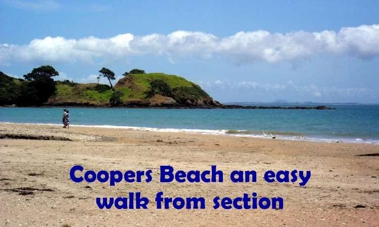 36 Midgard Road Coopers Beach_5