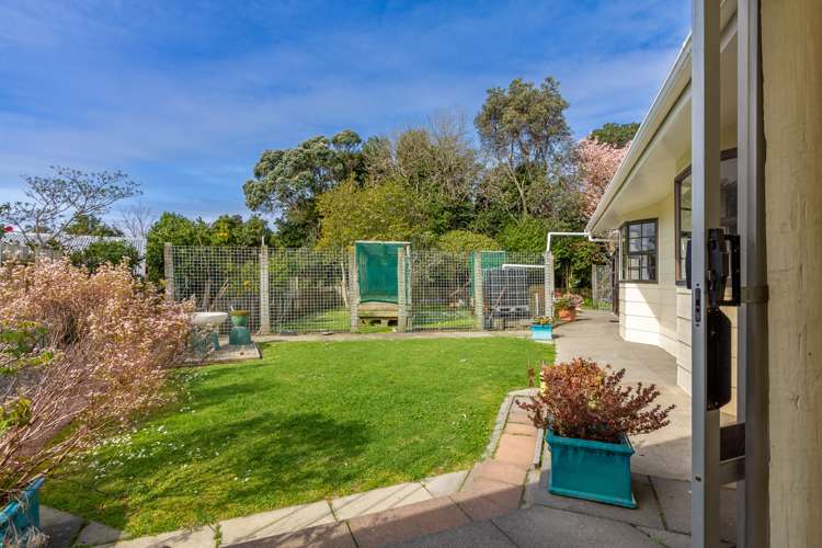 161 Parklands Avenue Bell Block_18