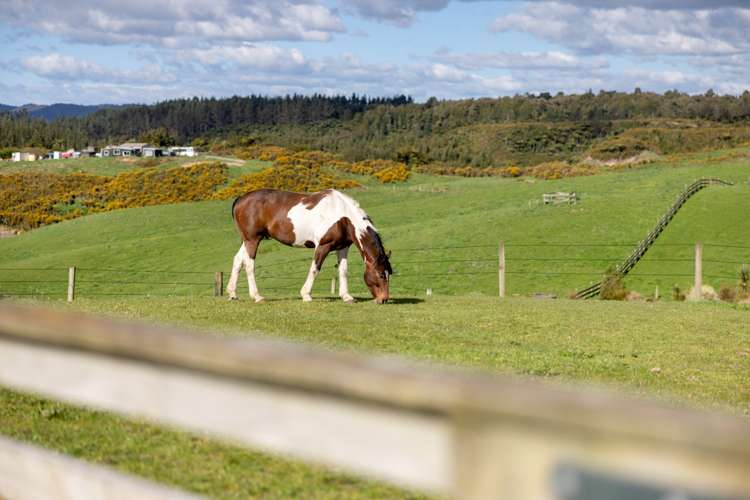 16 Betty May Drive Pyes Pa_13