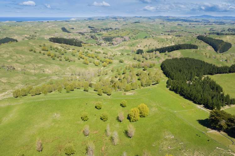 683 Bush Road Wallingford_42