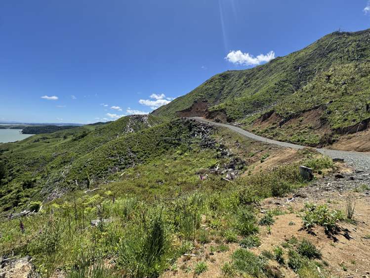 Lot 4 Brown Road Kawhia_26