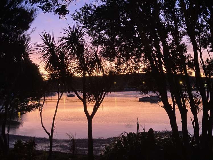 55 Paremata Road Paremata_43