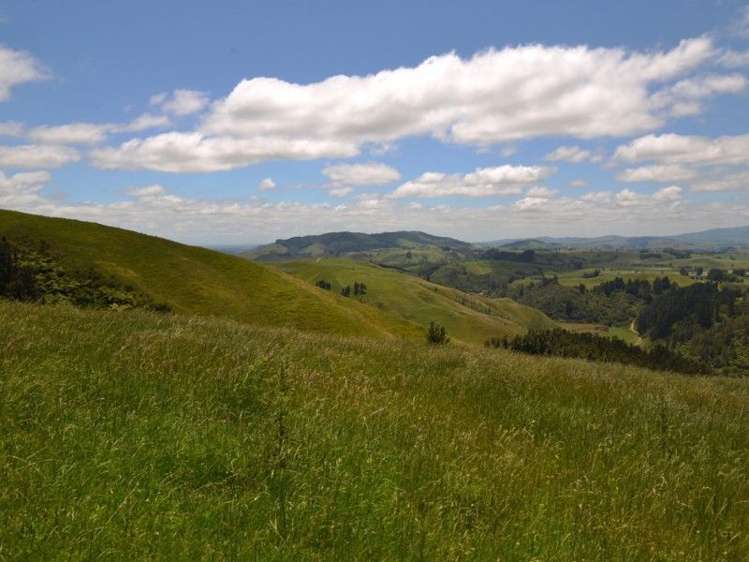 184 Grice Road Wharepuhunga_8