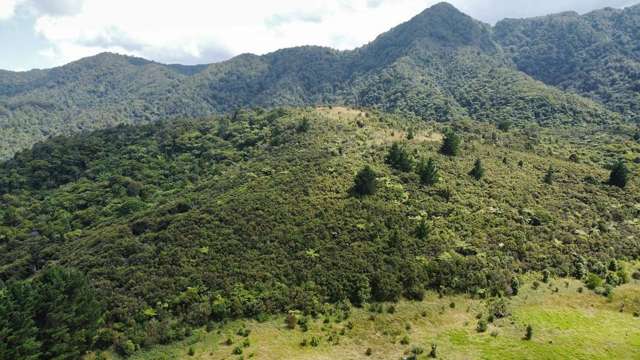 Waimamaku Coastal/Rural Land