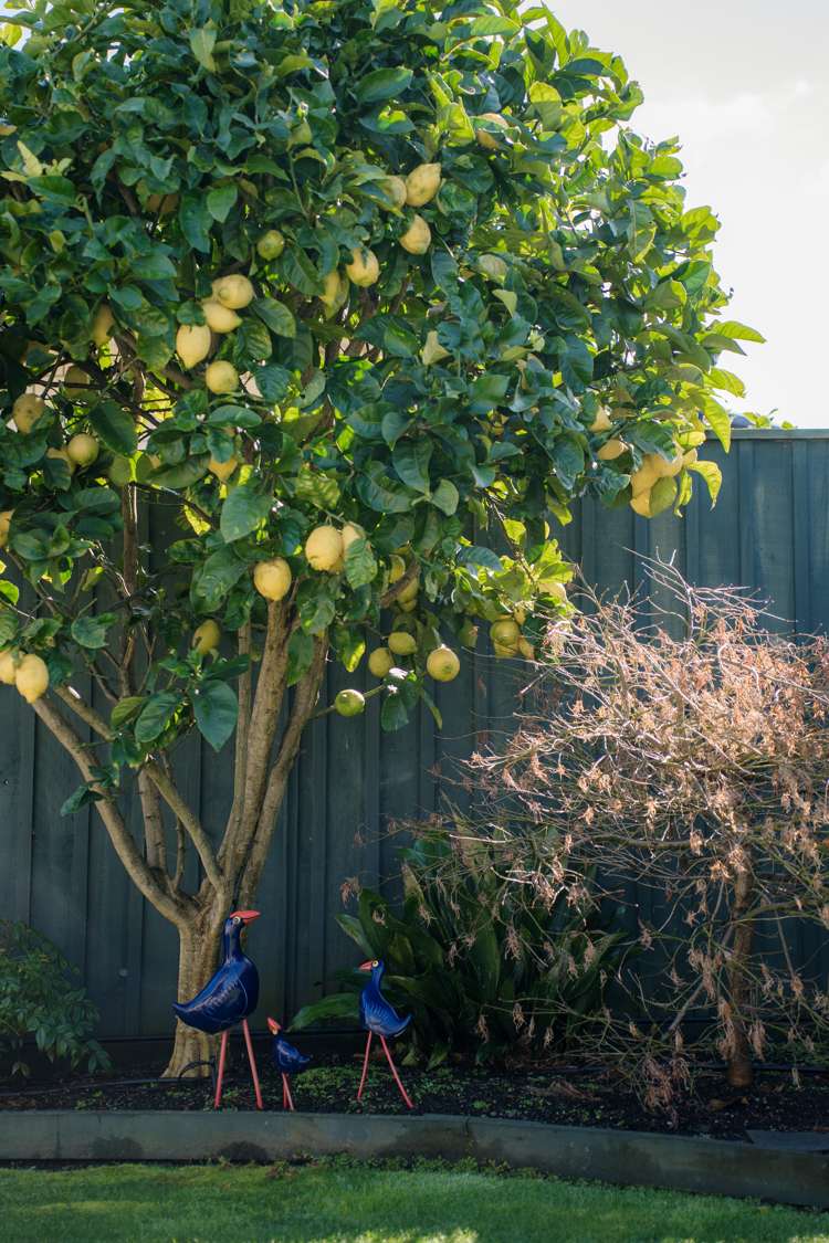 65 Capriana Drive Karaka_8