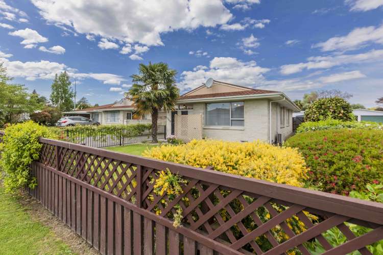 509 Tomoana Road Saint Leonards_14