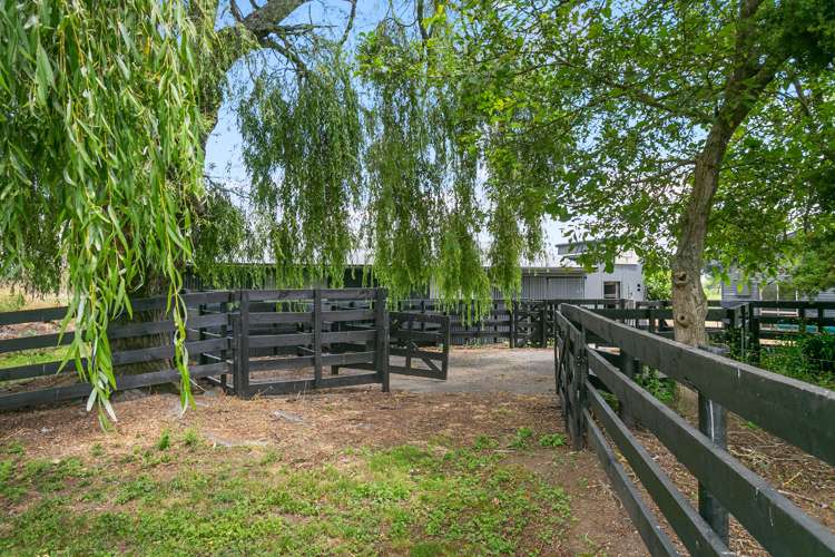 127 Norrish Road Ohaupo_16