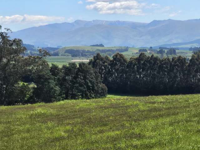 116 Burraness Street Palmerston_3