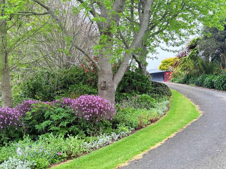 154 Ohinepanea Road Pukehina_10