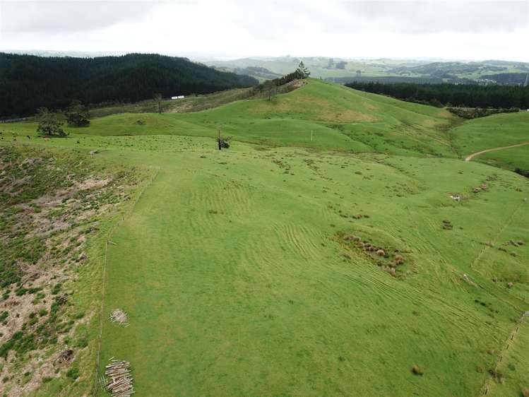 State Highway One Taupo_20